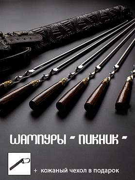Шампуры "Пикник" угловые