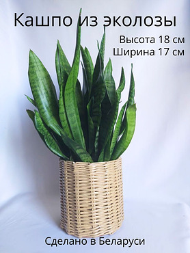 Кашпо из эколозы